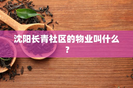 沈阳长青社区的物业叫什么？