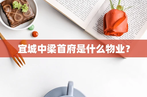 宜城中梁首府是什么物业？
