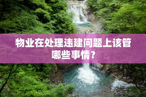 物业在处理违建问题上该管哪些事情？