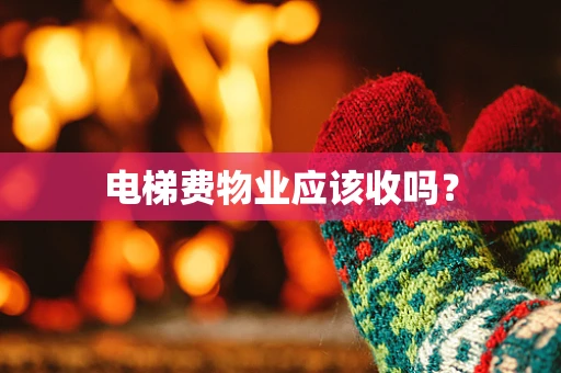 电梯费物业应该收吗？