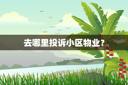 去哪里投诉小区物业？