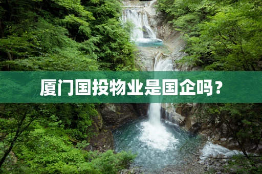 厦门国投物业是国企吗？