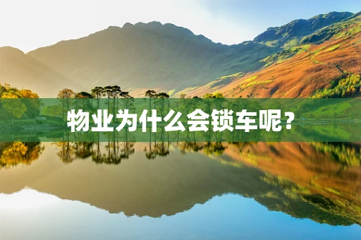 物业为什么会锁车呢？