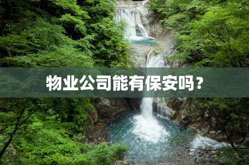 物业公司能有保安吗？