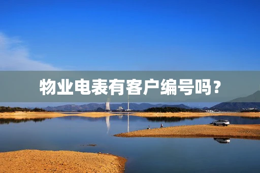 物业电表有客户编号吗？