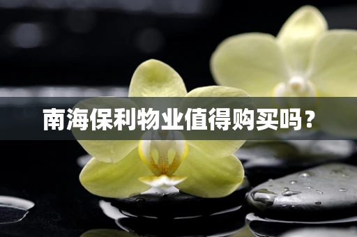 南海保利物业值得购买吗？