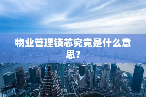 物业管理锁芯究竟是什么意思？