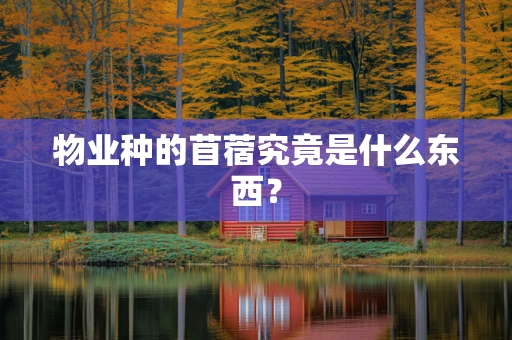 物业种的苜蓿究竟是什么东西？