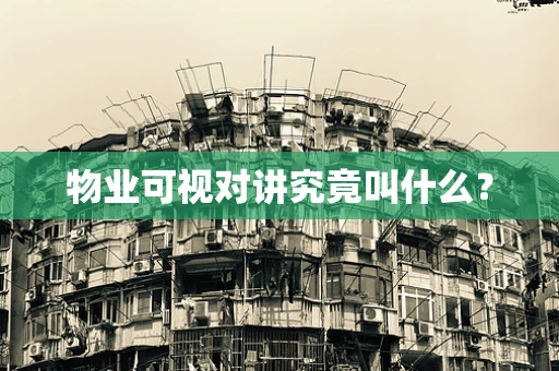 物业可视对讲究竟叫什么？