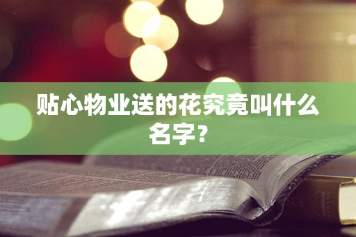 贴心物业送的花究竟叫什么名字？