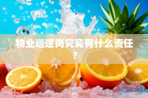 物业巡逻岗究竟有什么责任？
