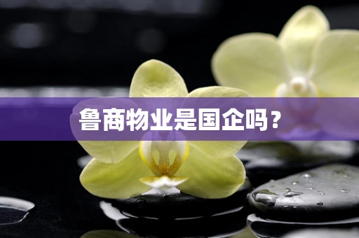 鲁商物业是国企吗？