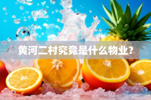 黄河二村究竟是什么物业？
