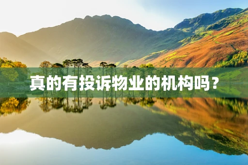 真的有投诉物业的机构吗？