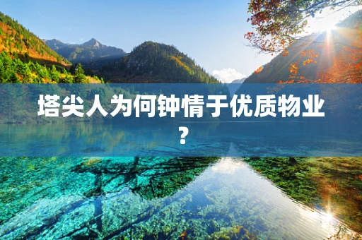 塔尖人为何钟情于优质物业？