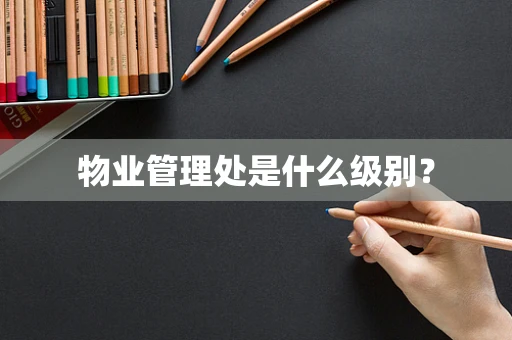 物业管理处是什么级别？