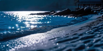 月亮湾物业现在招工吗？