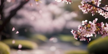 正定物业究竟什么时候解封的？