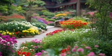 芳菲苑物业究竟是什么？