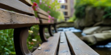 为什么外地辞职后来物业？