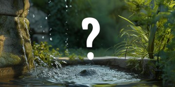 物业跪着倒水违法吗？